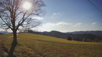 Snímek 7.11.2025 v 13:30