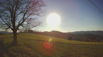 Snímek 7.11.2025 v 15:00