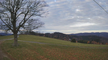 Snímek 8.11.2025 v 07:30