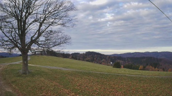 Snímek 8.11.2025 v 08:00