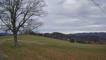 Snímek 8.11.2025 v 09:00