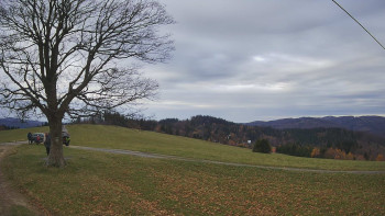 Snímek 8.11.2025 v 09:30