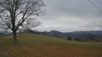 Snímek 8.11.2025 v 16:30