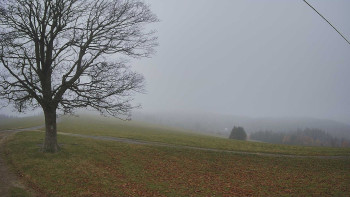 Snímek 9.11.2025 v 13:00