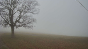 Bludný - Rajnochovice Troják - Bludný - Rajnochovice Troják - 14.11.2025 v 07:00 Bludný - Rajnochovice Troják - Bludný - Rajnochovice Troják - 14.11.2025 v 07:00