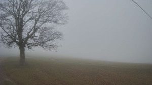 Bludný - Rajnochovice Troják - Bludný - Rajnochovice Troják - 14.11.2025 v 07:30 Bludný - Rajnochovice Troják - Bludný - Rajnochovice Troják - 14.11.2025 v 07:30