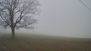 Bludný - Rajnochovice Troják - Bludný - Rajnochovice Troják - 14.11.2025 v 08:30 Bludný - Rajnochovice Troják - Bludný - Rajnochovice Troják - 14.11.2025 v 08:30