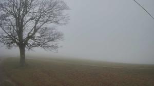 Bludný - Rajnochovice Troják - Bludný - Rajnochovice Troják - 14.11.2025 v 09:00 Bludný - Rajnochovice Troják - Bludný - Rajnochovice Troják - 14.11.2025 v 09:00