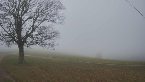 Bludný - Rajnochovice Troják - Bludný - Rajnochovice Troják - 14.11.2025 v 10:30 Bludný - Rajnochovice Troják - Bludný - Rajnochovice Troják - 14.11.2025 v 10:30