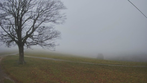 Bludný - Rajnochovice Troják - Bludný - Rajnochovice Troják - 14.11.2025 v 11:00 Bludný - Rajnochovice Troják - Bludný - Rajnochovice Troják - 14.11.2025 v 11:00