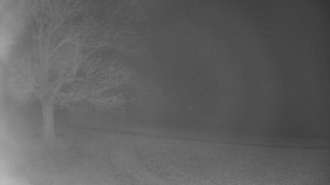 Bludný - Rajnochovice Troják - Bludný - Rajnochovice Troják - 14.11.2025 v 22:30 Bludný - Rajnochovice Troják - Bludný - Rajnochovice Troják - 14.11.2025 v 22:30