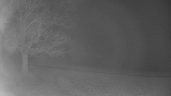 Snímek 14.11.2025 v 22:30