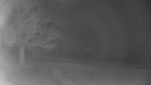 Bludný - Rajnochovice Troják - Bludný - Rajnochovice Troják - 14.11.2025 v 23:00 Bludný - Rajnochovice Troják - Bludný - Rajnochovice Troják - 14.11.2025 v 23:00