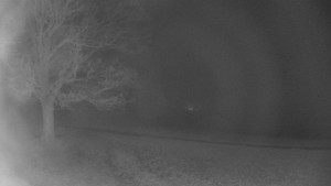 Bludný - Rajnochovice Troják - Bludný - Rajnochovice Troják - 14.11.2025 v 23:30 Bludný - Rajnochovice Troják - Bludný - Rajnochovice Troják - 14.11.2025 v 23:30