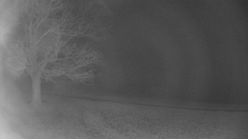 Snímek 15.11.2025 v 01:30