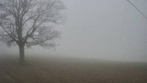 Bludný - Rajnochovice Troják - Bludný - Rajnochovice Troják - 15.11.2025 v 10:00 Bludný - Rajnochovice Troják - Bludný - Rajnochovice Troják - 15.11.2025 v 10:00