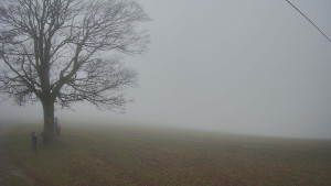 Bludný - Rajnochovice Troják - Bludný - Rajnochovice Troják - 15.11.2025 v 11:30 Bludný - Rajnochovice Troják - Bludný - Rajnochovice Troják - 15.11.2025 v 11:30