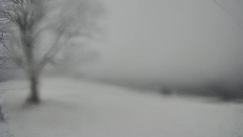 Snímek 23.11.2025 v 13:00