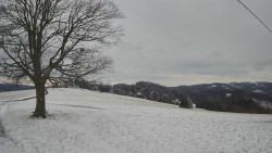 Bludný - Rajnochovice Troják