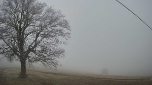 Bludný - Rajnochovice Troják - Bludný - Rajnochovice Troják - 14.12.2025 v 08:30 Bludný - Rajnochovice Troják - Bludný - Rajnochovice Troják - 14.12.2025 v 08:30