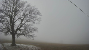 Bludný - Rajnochovice Troják - Bludný - Rajnochovice Troják - 14.12.2025 v 12:30 Bludný - Rajnochovice Troják - Bludný - Rajnochovice Troják - 14.12.2025 v 12:30