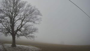 Bludný - Rajnochovice Troják - Bludný - Rajnochovice Troják - 14.12.2025 v 13:00 Bludný - Rajnochovice Troják - Bludný - Rajnochovice Troják - 14.12.2025 v 13:00