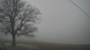 Bludný - Rajnochovice Troják - Bludný - Rajnochovice Troják - 14.12.2025 v 16:30 Bludný - Rajnochovice Troják - Bludný - Rajnochovice Troják - 14.12.2025 v 16:30