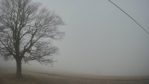 Bludný - Rajnochovice Troják - Bludný - Rajnochovice Troják - 22.12.2025 v 08:00 Bludný - Rajnochovice Troják - Bludný - Rajnochovice Troják - 22.12.2025 v 08:00