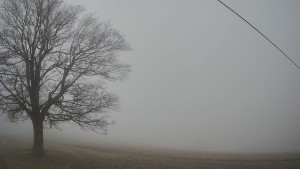 Bludný - Rajnochovice Troják - Bludný - Rajnochovice Troják - 22.12.2025 v 10:00 Bludný - Rajnochovice Troják - Bludný - Rajnochovice Troják - 22.12.2025 v 10:00