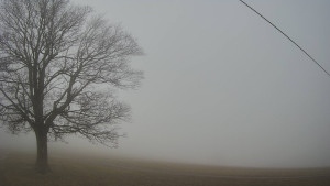 Bludný - Rajnochovice Troják - Bludný - Rajnochovice Troják - 22.12.2025 v 11:00 Bludný - Rajnochovice Troják - Bludný - Rajnochovice Troják - 22.12.2025 v 11:00