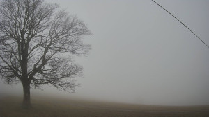 Bludný - Rajnochovice Troják - Bludný - Rajnochovice Troják - 22.12.2025 v 12:00 Bludný - Rajnochovice Troják - Bludný - Rajnochovice Troják - 22.12.2025 v 12:00