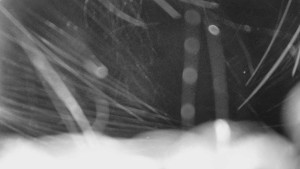 Bludný - Rajnochovice Troják - Bludný - Rajnochovice Troják - 15.2.2026 v 02:30 Bludný - Rajnochovice Troják - Bludný - Rajnochovice Troják - 15.2.2026 v 02:30