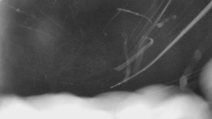 Bludný - Rajnochovice Troják - Bludný - Rajnochovice Troják - 15.2.2026 v 03:00 Bludný - Rajnochovice Troják - Bludný - Rajnochovice Troják - 15.2.2026 v 03:00