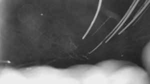 Bludný - Rajnochovice Troják - Bludný - Rajnochovice Troják - 15.2.2026 v 03:30 Bludný - Rajnochovice Troják - Bludný - Rajnochovice Troják - 15.2.2026 v 03:30