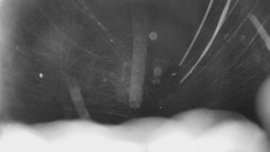 Bludný - Rajnochovice Troják - Bludný - Rajnochovice Troják - 15.2.2026 v 04:00 Bludný - Rajnochovice Troják - Bludný - Rajnochovice Troják - 15.2.2026 v 04:00