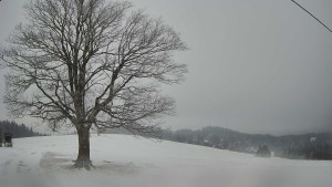 Bludný - Rajnochovice Troják - Bludný - Rajnochovice Troják - 15.2.2026 v 07:30 Bludný - Rajnochovice Troják - Bludný - Rajnochovice Troják - 15.2.2026 v 07:30