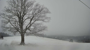 Bludný - Rajnochovice Troják - Bludný - Rajnochovice Troják - 15.2.2026 v 09:00 Bludný - Rajnochovice Troják - Bludný - Rajnochovice Troják - 15.2.2026 v 09:00