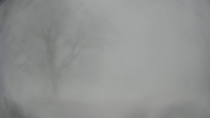 Bludný - Rajnochovice Troják - Bludný - Rajnochovice Troják - 15.2.2026 v 09:30 Bludný - Rajnochovice Troják - Bludný - Rajnochovice Troják - 15.2.2026 v 09:30