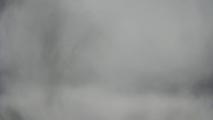 Bludný - Rajnochovice Troják - Bludný - Rajnochovice Troják - 15.2.2026 v 12:30 Bludný - Rajnochovice Troják - Bludný - Rajnochovice Troják - 15.2.2026 v 12:30