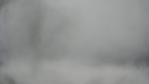 Bludný - Rajnochovice Troják - Bludný - Rajnochovice Troják - 15.2.2026 v 13:00 Bludný - Rajnochovice Troják - Bludný - Rajnochovice Troják - 15.2.2026 v 13:00