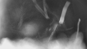 Bludný - Rajnochovice Troják - Bludný - Rajnochovice Troják - 15.2.2026 v 19:30 Bludný - Rajnochovice Troják - Bludný - Rajnochovice Troják - 15.2.2026 v 19:30