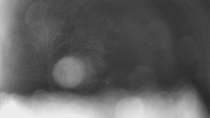 Bludný - Rajnochovice Troják - Bludný - Rajnochovice Troják - 15.2.2026 v 20:00 Bludný - Rajnochovice Troják - Bludný - Rajnochovice Troják - 15.2.2026 v 20:00