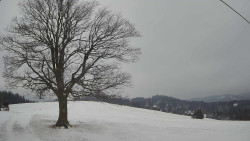 Bludný - Rajnochovice Troják