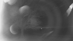 Bludný - Rajnochovice Troják - Bludný - Rajnochovice Troják - 24.2.2026 v 01:00 Bludný - Rajnochovice Troják - Bludný - Rajnochovice Troják - 24.2.2026 v 01:00