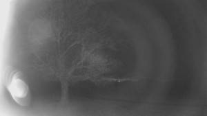 Bludný - Rajnochovice Troják - Bludný - Rajnochovice Troják - 24.2.2026 v 03:00 Bludný - Rajnochovice Troják - Bludný - Rajnochovice Troják - 24.2.2026 v 03:00