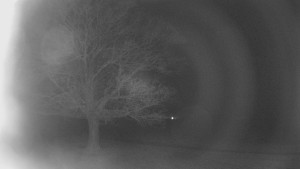 Bludný - Rajnochovice Troják - Bludný - Rajnochovice Troják - 24.2.2026 v 05:00 Bludný - Rajnochovice Troják - Bludný - Rajnochovice Troják - 24.2.2026 v 05:00