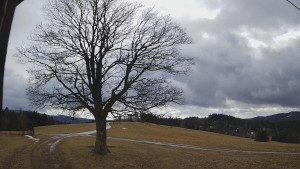 Bludný - Rajnochovice Troják - Bludný - Rajnochovice Troják - 24.2.2026 v 14:00 Bludný - Rajnochovice Troják - Bludný - Rajnochovice Troják - 24.2.2026 v 14:00