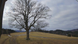 Bludný - Rajnochovice Troják