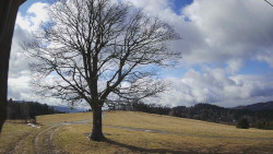 Bludný - Rajnochovice Troják