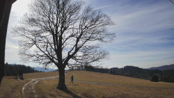 Bludný - Rajnochovice Troják